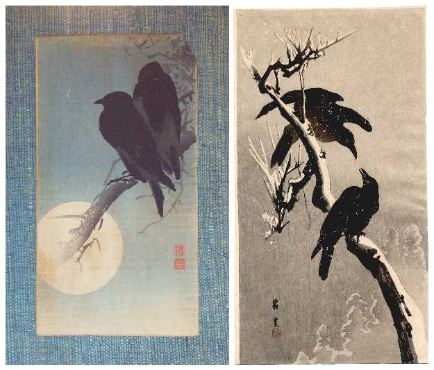 Crows In Japan